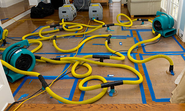 Professional Crawl Space Water Removal technician working in Greene, ME